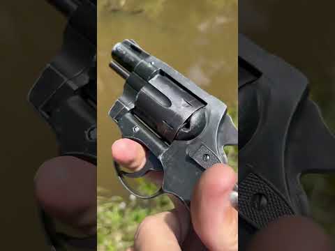 The cheapest gun I own rg40 snub nose .38 spl