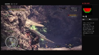 防具無しで上位のリオレイア亜種に挑戦