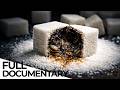 Sugar: The Hidden Danger in Our Food | ENDEVR Documentary