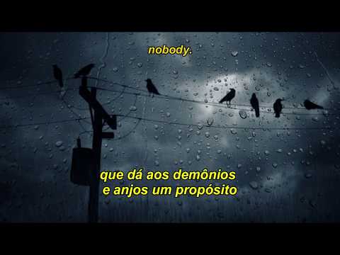 Isle Of Flightless Birds - Twenty One Pilots