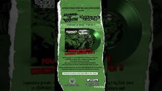 SYMPHONY OF DESTRUCTION/EXTREME DECAY 7&quot;ep split