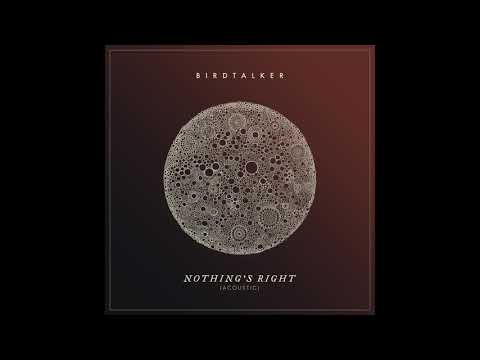 Nothings Right - Birdtalker