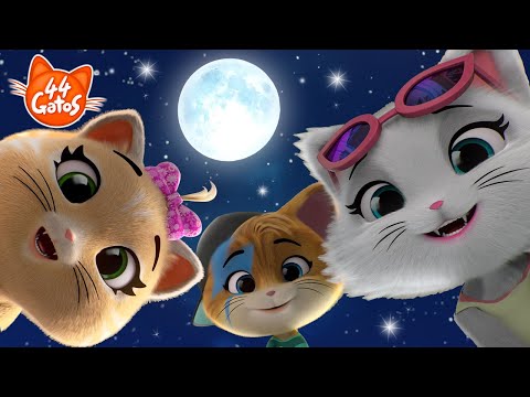 44 Gatos | Latinoamérica | Aventuras bajo las estrellas ⭐️⭐️⭐️