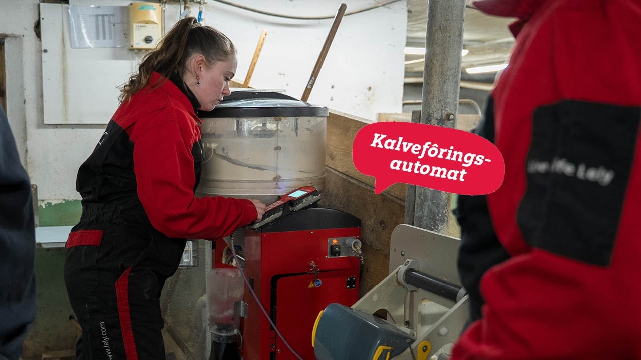 Slik sikrer du optimal drift av din Lely Calm