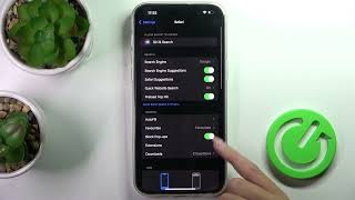 How to Clear History and Website Data on iPhone 14 Pro Max