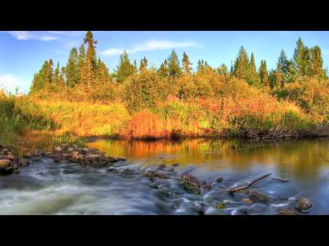 Orbital - One Perfect Sunrise