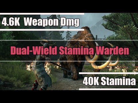 Dual-Wield Stamina Warden PvP Builds - Elder Scrolls Online: HOTR