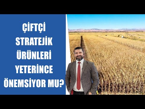 Çiftçi, Suyu Mu, Parayı mı Yoksa Ürünü mü Merkezine Alıyor? | Tarım Yazarı Alparslan Tekbaş