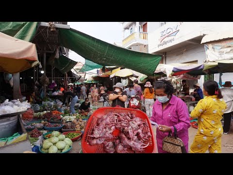 Morning Market Scenes - Amazing Lot Of Fish Selling At Prek Ta Meak Market @ Kandal Province