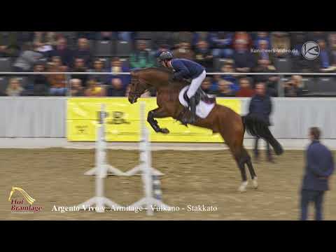 Argento Vivo PB-Schau 2018