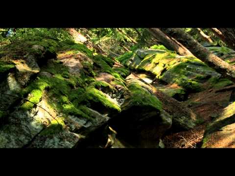 Teufelstisch Bayerischer Wald