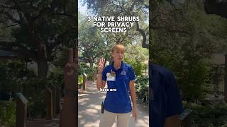 Here are 3 Texas native shrubs that double as privacy screens!