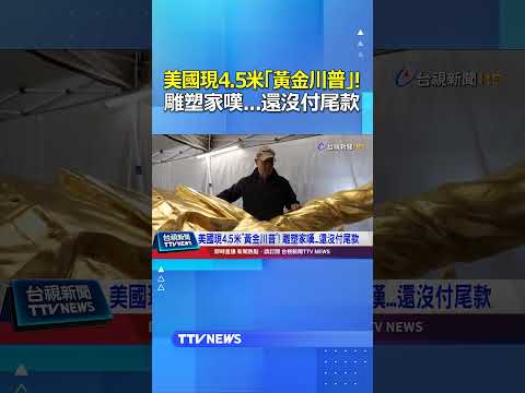 美國現4.5米「黃金川普」! 雕塑家嘆   還沒付尾款 #美國 #黃金川普 #雕塑