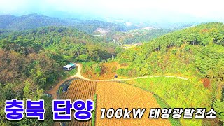 태양광발전소 100kW 9구좌 분양, 모듈 설치 구역 남쪽으로 벌목, 음영요소 제거