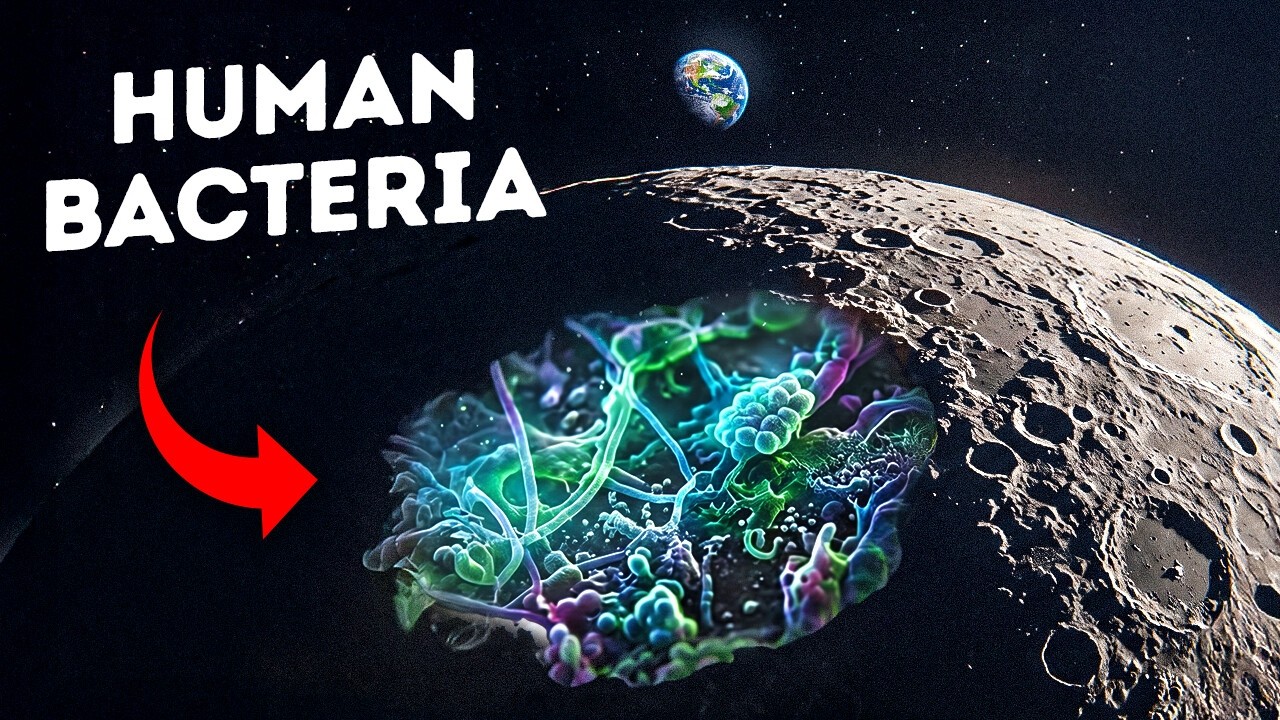 NASA Found Evidence Earth Life Could Survive on the Moon