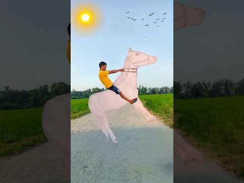 Horse Video graphy Tricks #photography #shorts #youtubeshorts #shortvideo #photographytips#trending