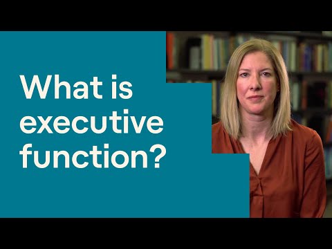 What Is Executive Function?