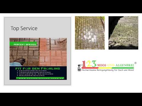 123 Moos und Algenfrei so geht es