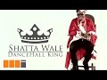 Shatta Wale Dancehall King Official Video