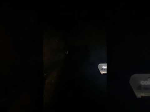 FRAKSHA - CAR BARS 🚗🚗🚗