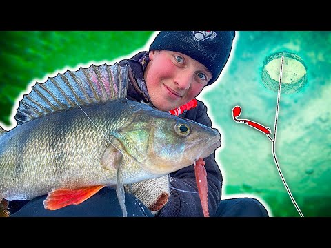 Trying DROP SHOT Fishing From ICE! (Perch Fishing) | Team Galant