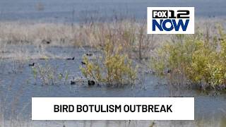 Tule Lake refuge near California-Oregon border sees record bird botulism outbreak