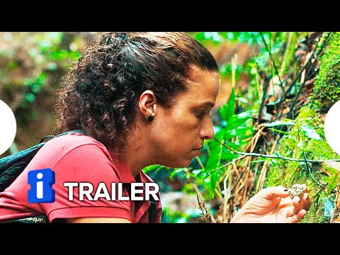 O Estranho | Trailer Oficial
