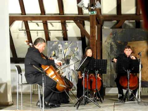 octet violoncellist from Beauvais part4