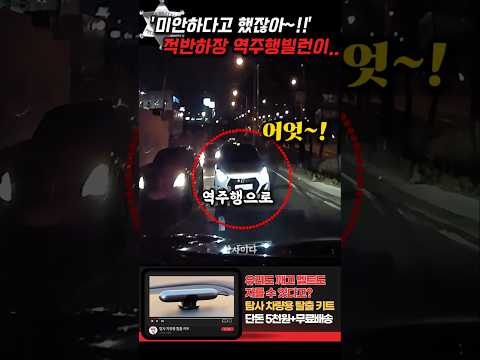 '미안하다고 했잖아!' 역주행하더니 되레 블박차에 화를 내던 빌런은..