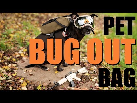 Pet Bug Out Bag | Don't Leave Your Best Friend Behind!