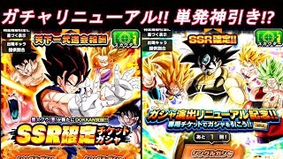 【ドッカン実況】　ガチャリニューアル記念でSSR連発!?