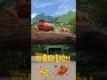 TIMON SIMBA Y PUMBA DEL REY LEON EN DISNEY ART OF ANIMATION RESORT Isidroaventuras