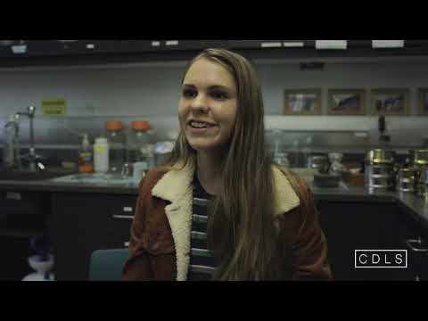 2 - Hayley Bricker, the environmental scientist // CDLS Video Storytelling Project