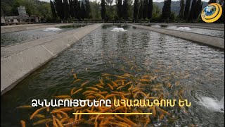 «Ձուկ են ուզում աճեցնել՝ առանց ջրի». նոր օրենքը հունից հանել է ձկնաբույծներին