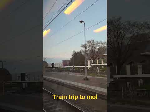 train trip to mol #travel #mol #traintrip #belgium