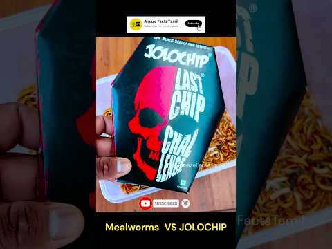 , title : 'JOLOCHIP vs Mealworms | Mealworms experiment | #shorts #jolochip #tamil #ytshorts #challenge'