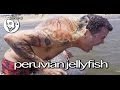 Peruvian Jellyfish Stunt - Steve-O 