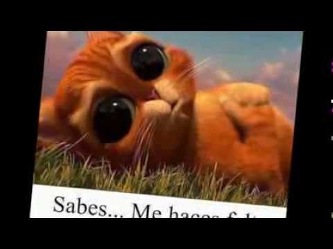 la familia de Amberes