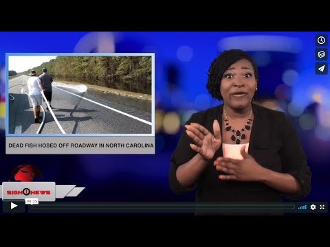 Dead fish hosed off roadway in North Carolina (ASL - 9.23.18)