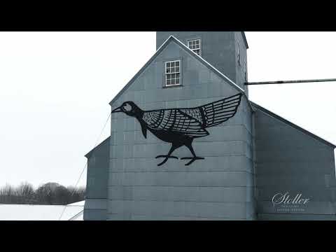 Vineyard through the Seasons Drone Fly Over 4K - Relaxation Film With Calming Music