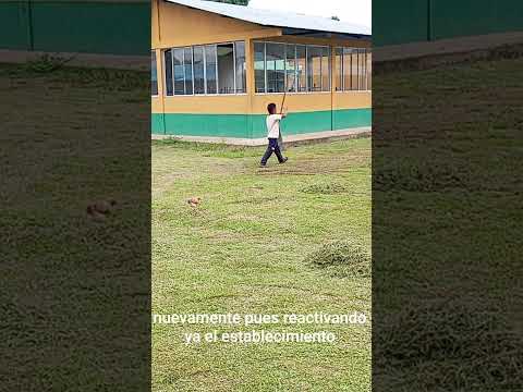 Danny García Vallenatazo de Amor en la I. E. Manajuare Municipio Cumaribo Vichada Colombia