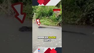 Download lagu This is the figure of the water ghost⁉️ mp3