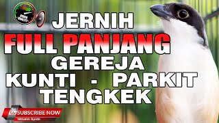Download lagu CENDET GACOR  SUPER MEWAH VIDEO JERNIH FULL ISIAN KUNTI GEREJA PARKIT TENGKEK BUTO, MASTERAN PANJANG mp3