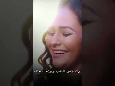 Hithe Upanni❤🤗 #aiopstudio #amishaminol #trending #trendingshorts #tiktok #sinhalasongs #fyp #fypシ