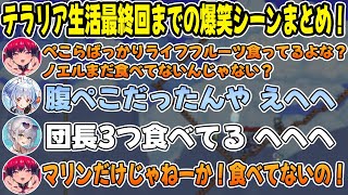 【テラリア】貴重なアイテム1つで爆笑シーンを生み出す”3期生のテラリア生活6,7,8,9日目の見どころまとめ!【ホロライブ/切り抜き】【宝鐘マリン/白銀ノエル/兎田ぺこら】