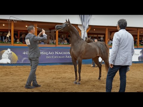 🌟 TP ARABIANS 2021 - The most successful of journeys begin with a single step! ✨⁣