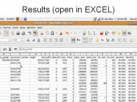 Bioinformatics 101 -  Running BLAST