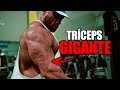 COMO TER TRÍCEPS GIGANTES | SANTISTEBAN