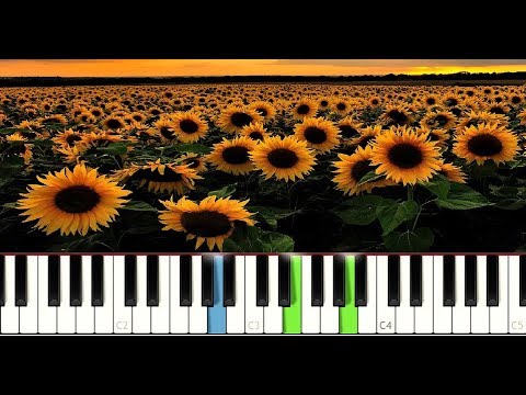Sierra Burgess Is A Loser - Sunflower video
