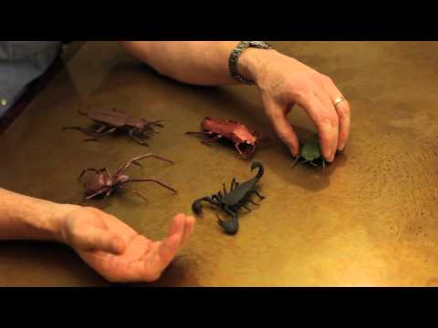 Robert Lang's Origami Insects